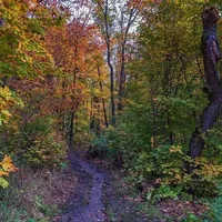 Trails